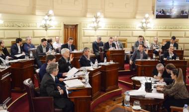 Media sanción del Senado para la creación del “Plan de conectividad vial 100% pavimento” presentado por Felipe Michlig