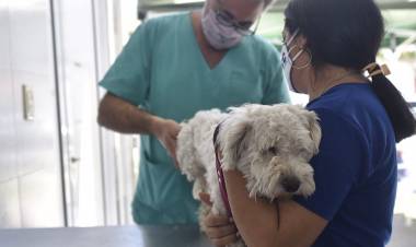 Trabajos de fumigación, iluminación y bacheo previstos para este jueves