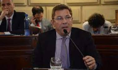 Senador Rodrigo Borla: "Es una buena noticia que el partido socialista haya confirmado su presencia en el Frente de Frentes"