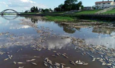 La Defensoría del Pueblo de Santa Fe pidió acciones ante la contaminación del río Salado