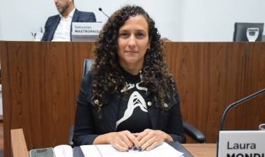 Dengue: solicitan más acciones al gobierno provincial