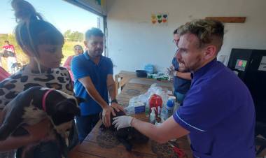 Castelló presentó un proyecto para crear el hospital público veterinario provincial