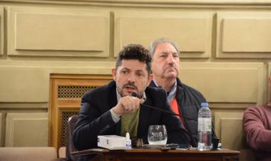 Castelló ingresó un proyecto que busca lograr el pase a planta de profesionales de salud