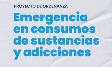 Presentan proyecto para declarar la Emergencia en consumos problemáticos