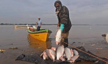 La Justicia ordenó al gobierno provincial  instrumentar un “Plan estratégico para la  utilización sustentable del recurso ictícola”