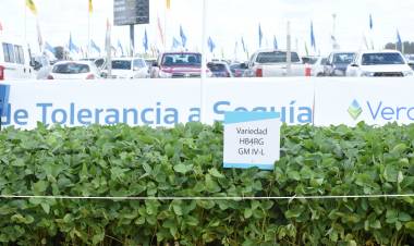 La UNL lidera la actividad de pantetamiento en las Universidades Nacionales