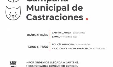 La Campaña Municipal de Castraciones continúa recorriendo la ciudad
