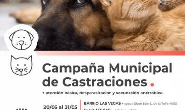 La Municipalidad sigue adelante con la Campaña de Castraciones