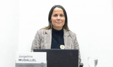 Solicitan al ejecutivo campaña de difusión sobre el funcionamiento del SEOM