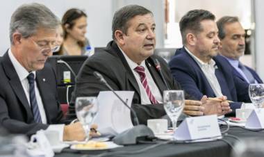 Enrique Mammarella: "Estabamos entrando en una crisis de funcionamiento"