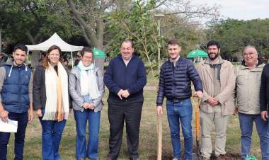 La Municipalidad lanzó un plan de forestación para potenciar el medioambiente de Santa Fe