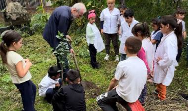 Perman: en el Día del Ambiente continúa su activismo ambiental y la atención de los reclamos ciudadanos. 