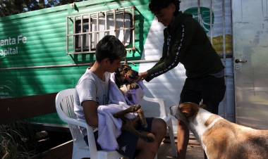 El programa IMUSA en tu Barrio superó las 900 castraciones y sus atenciones van en aumento