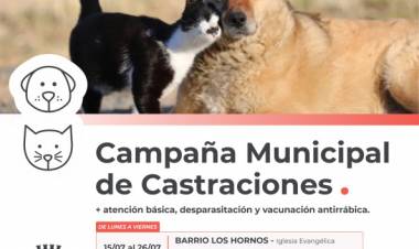 La Campaña Municipal de Castraciones sigue atendiendo en distintos puntos de la ciudad