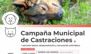 La Campaña Municipal de Castraciones sigue recorriendo la ciudad