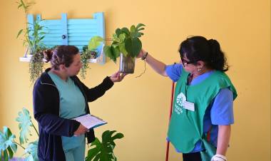 Cronograma de agosto: promotores de la salud continúan trabajando para prevenir el dengue