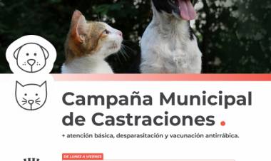 La Campaña Municipal de Castraciones seguirá atendiendo en la Vecinal Iriondo y el Obrador Nº 2