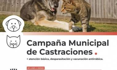 La Campaña Municipal de Castraciones seguirá atendiendo en la Vecinal Iriondo y el Obrador Nº 2