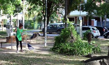 Desmalezamiento y limpieza: los servicios municipales previstos para esta semana