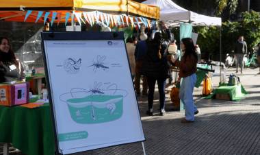 Dengue: comenzaron las jornadas de concientización y descacharrado