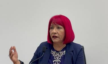 Violeta Quiroz: “La tercerización del mantenimiento de luminarias necesita un análisis exhaustivo y responsable”