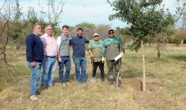 Campaña de Forestación: se plantaron 120 árboles en un terreno donde antes había un basural