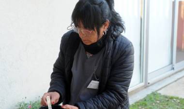 Dengue: 47 ovitrampas vigilan la actividad del Aedes Aegypti en 35 barrios de Santa Fe