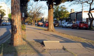 Acuerdo Capital: se licitará la reparación del cantero central de Avenida J.J. Paso