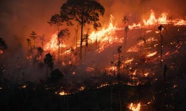 Lluvia negra en Florianópolis y Sao Pablo por los incendios en el amazonas