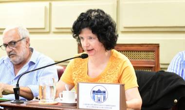 Silvia Malfessi anticipó que "Somos vida" irá a la justicia a la pedir la nulidad de la reforma previsional