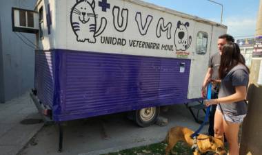 Área Municipal de Protección Animal: balance de enero a agosto