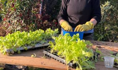 Jornada Abierta del Vivero Inclusivo