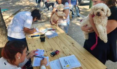 La Municipalidad de Santo Tomé llevó a cabo otra jornada exitosa de vacunación antirrábica gratuita