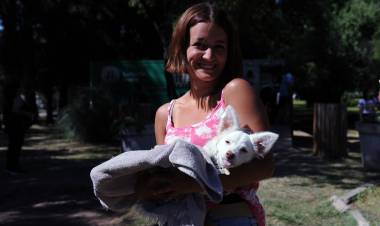 El IMUSA atendió más de 4700 animales en octubre