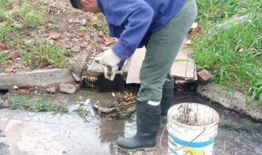 Personal municipal atiende los reclamos y trabaja en las zonas afectadas por la lluvia