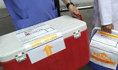 Cudaio: una donación pediátrica permitió tres trasplantes de órganos