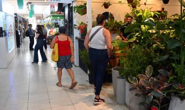 Este fin de semana, Santa Fe vuelve a tener su “Noche de compras”