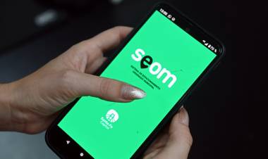 Servicios municipales previstos para el asueto administrativo y feriado de Año Nuevo