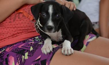 El IMUSA realizará atenciones gratuitas en barrio Nueva Pompeya