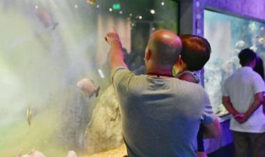 Operativo Verano: Provincia abrió la convocatoria para AcuaVerano 2025