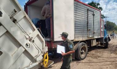 Decomisaron 3.000 sábalos en un operativo de control en Arroyo Seco