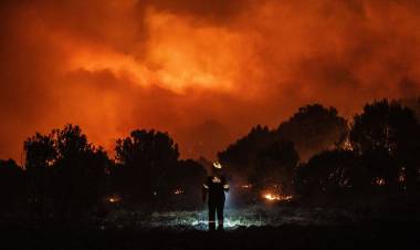 Chile afronta 22 incendios forestales