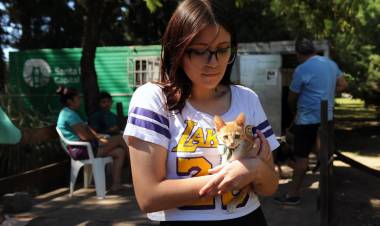 El IMUSA realizará castración, desparasitación y vacunación antirrábica gratuita en la vecinal Scarafía