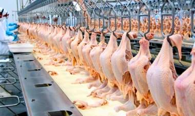 Alejandro Coianiz: "La carne de pollo hoy es la más consumida en Argentina"