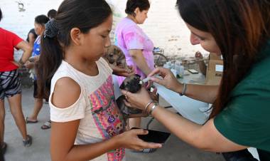 El IMUSA realizó 200 castraciones en la vecinal Ceferino Namuncurá