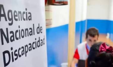 La Defensoría del Pueblo advirtió que están en riesgo muchísimas pensiones para personas con discapacidad