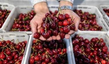 El crecimiento del consumo chino impulsa las exportaciones de América Latina y el Caribe