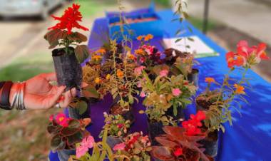 Eco Canje: cronograma para los últimos días del mes de marzo