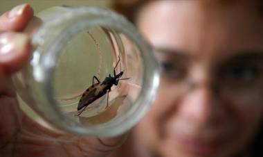Nuevo test rápido para el diagnóstico de Chagas congénito