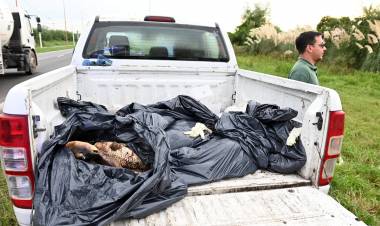 Se decomisaron 400 kilos de pescado en mal estado en la Reserva Natural Urbana del Oeste